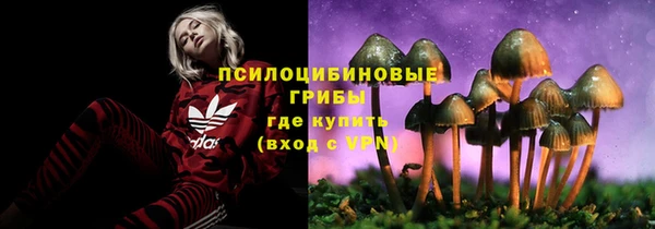 mdma Гусиноозёрск
