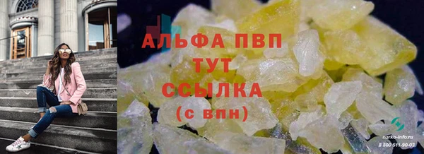 спайс Баксан